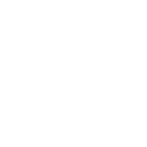 Videocall 300x300 1